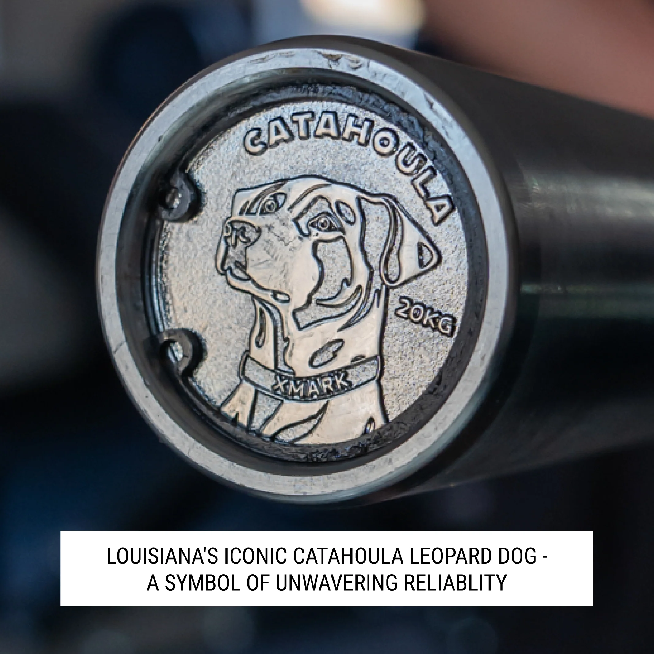 Catahoula IWF Men’s Training Bar, 190,000 PSI, 28mm Grip, US Cerakote - Image 3